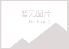 铁山港区平庸冶炼有限公司